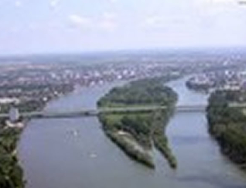 2018 – 2019 Bauleitung Stahlbau für Max Bögl an der Autobahnbrücke Schierstein